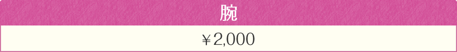 腕　2000円